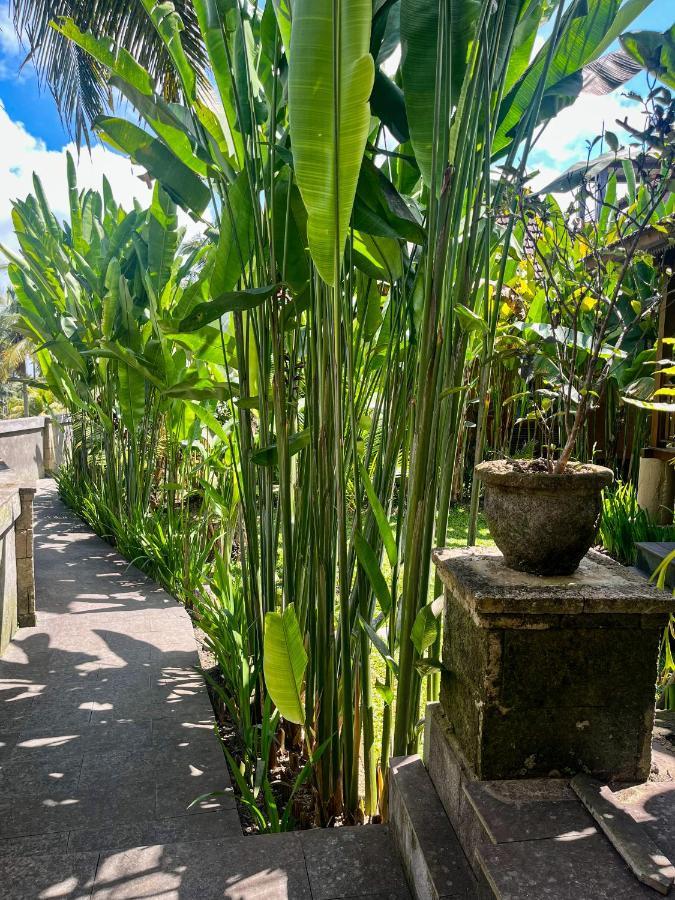 The Banana'S Kumbe Villa Tampaksiring Extérieur photo