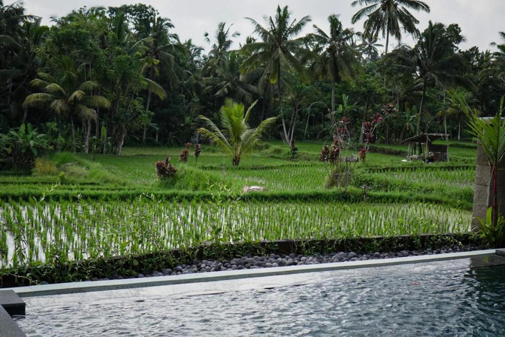 The Banana'S Kumbe Villa Tampaksiring Extérieur photo